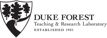 Duke Forest logo
